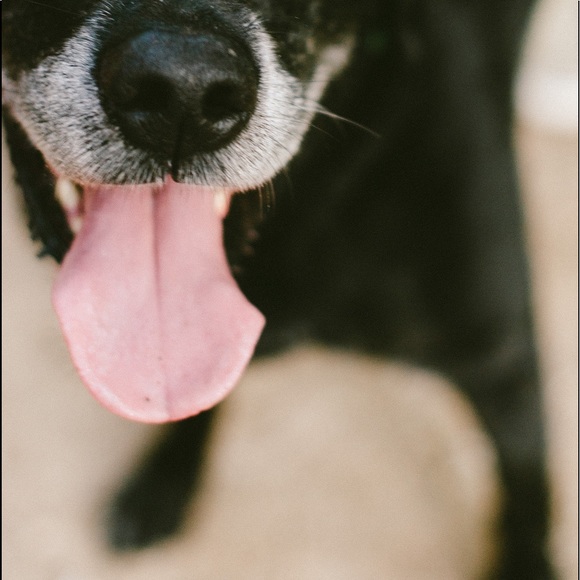 Meet your Posher, Jenny - Picture 2 of 2